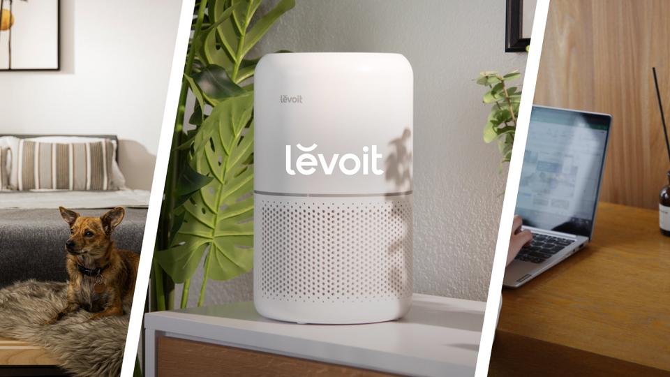 Levoit